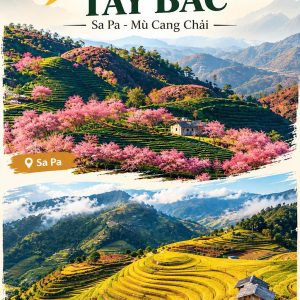 Mùa vàng Tây Bắc - Sapa - Mù Cang Chải ( 4 ngày 3 đêm )